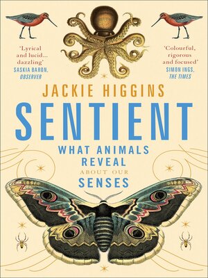 cover image of Sentient